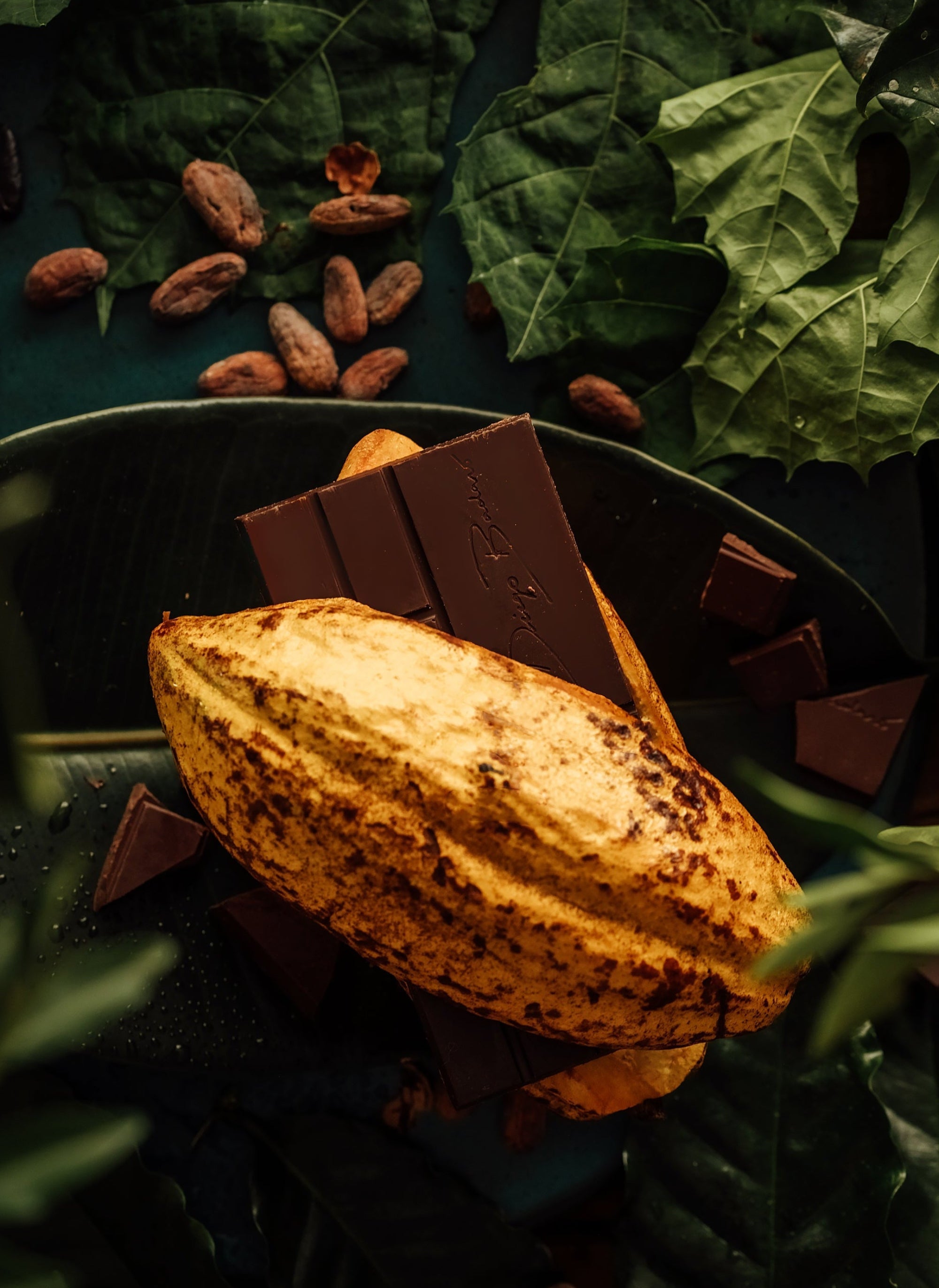 AMMA Chocolate