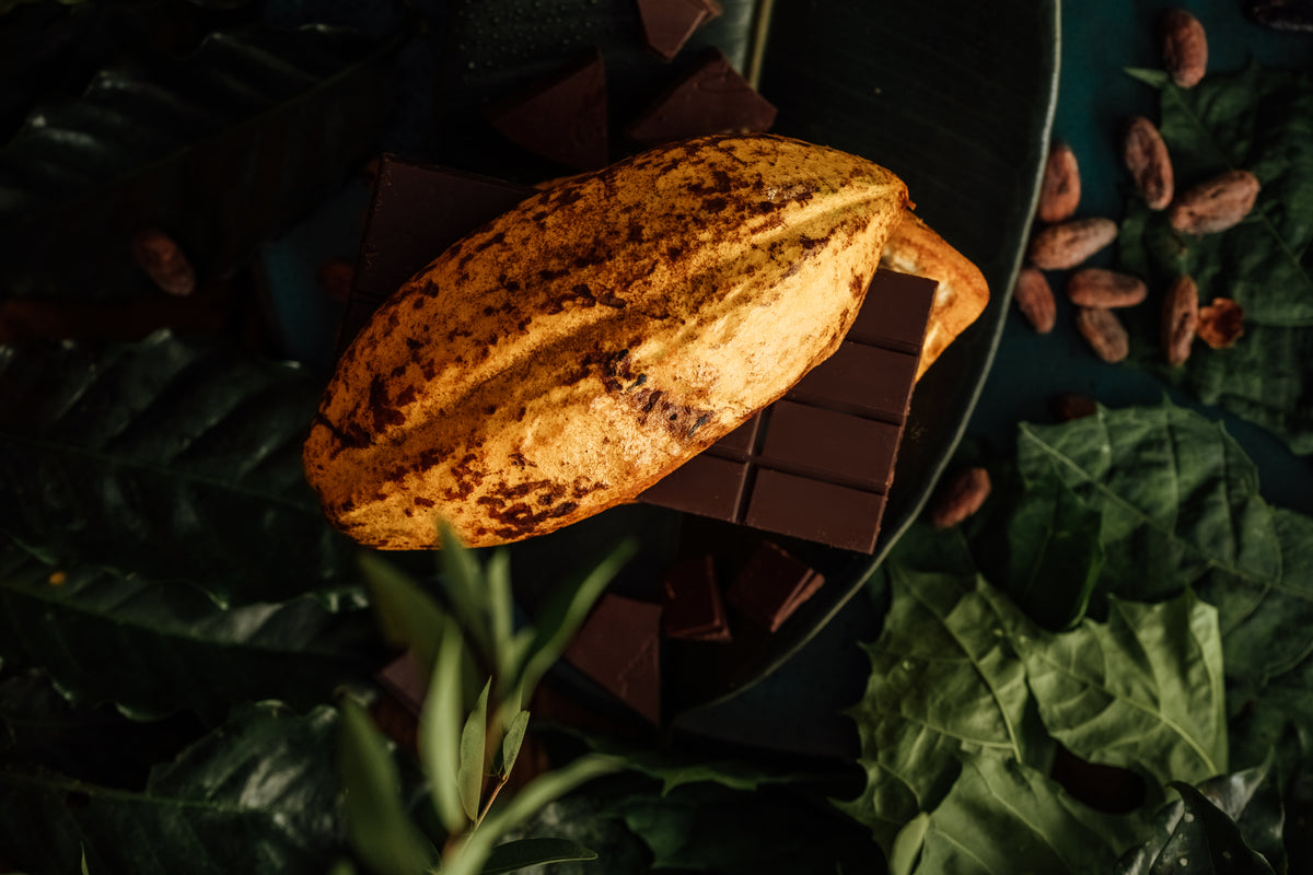 AMMA Chocolate