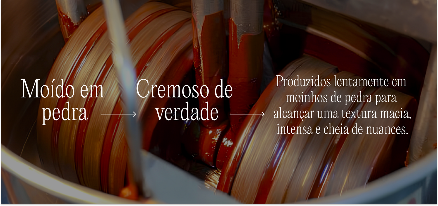 AMMA + Bioporã