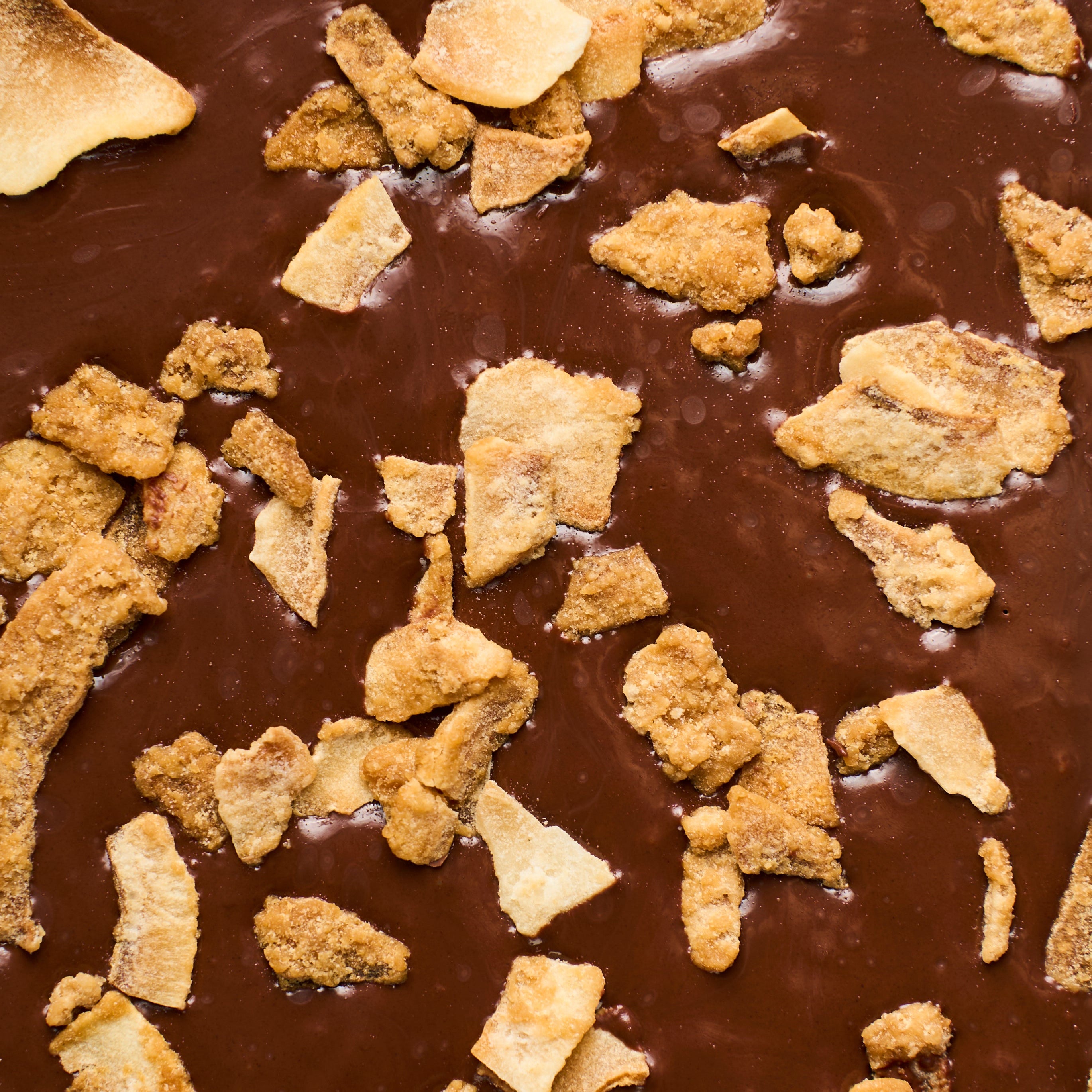 Amor que nutre - Chocolate Orgânico 60% Chips De Coco Caramelizado -  Lata 180g