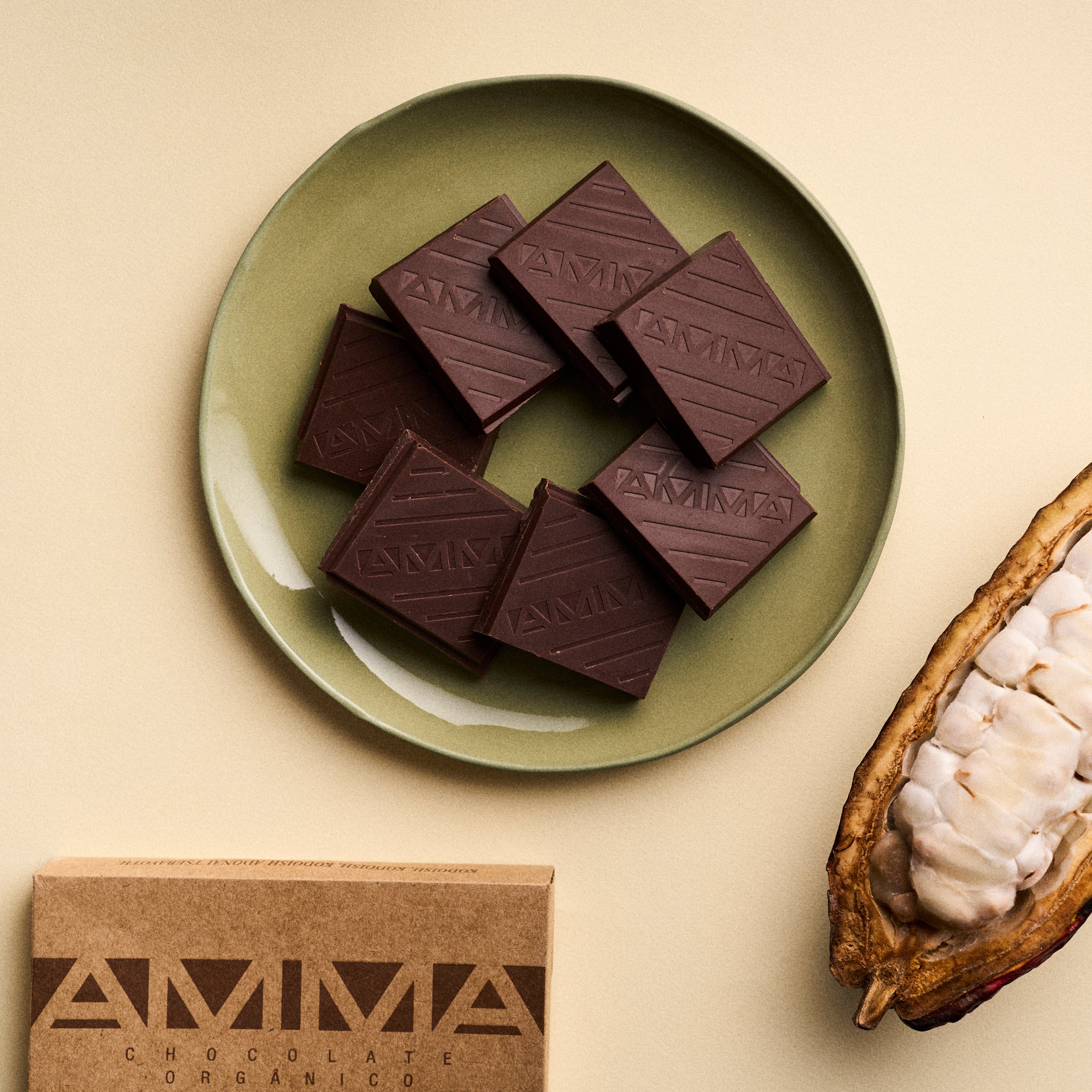 Gotsch Chocolate 100% Com Cacau Sintrópico 500g