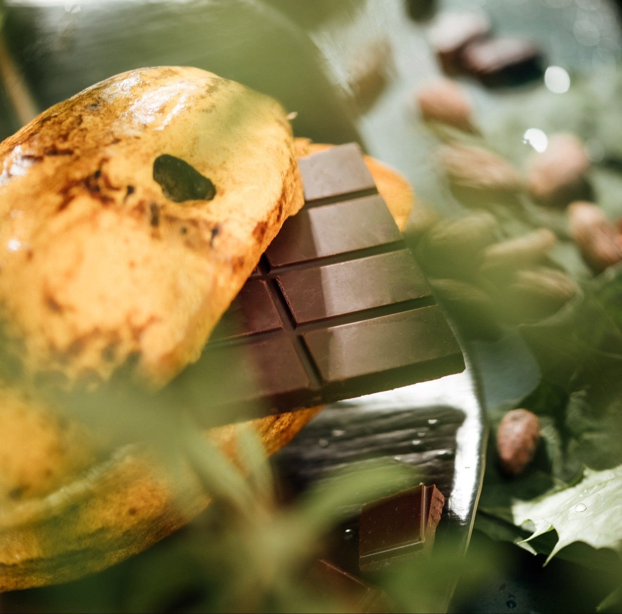 AMMA Chocolate