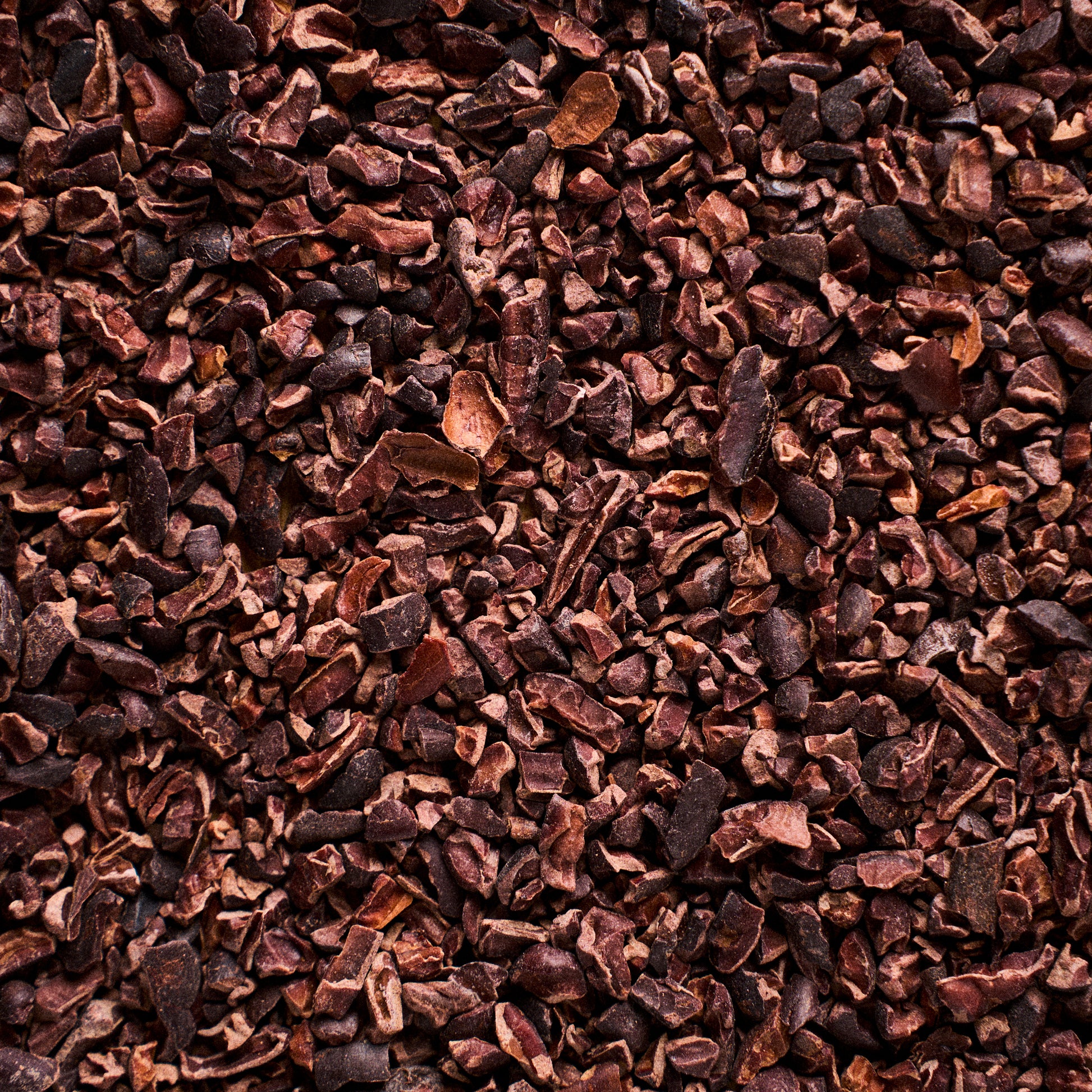 Nibs de Cacau