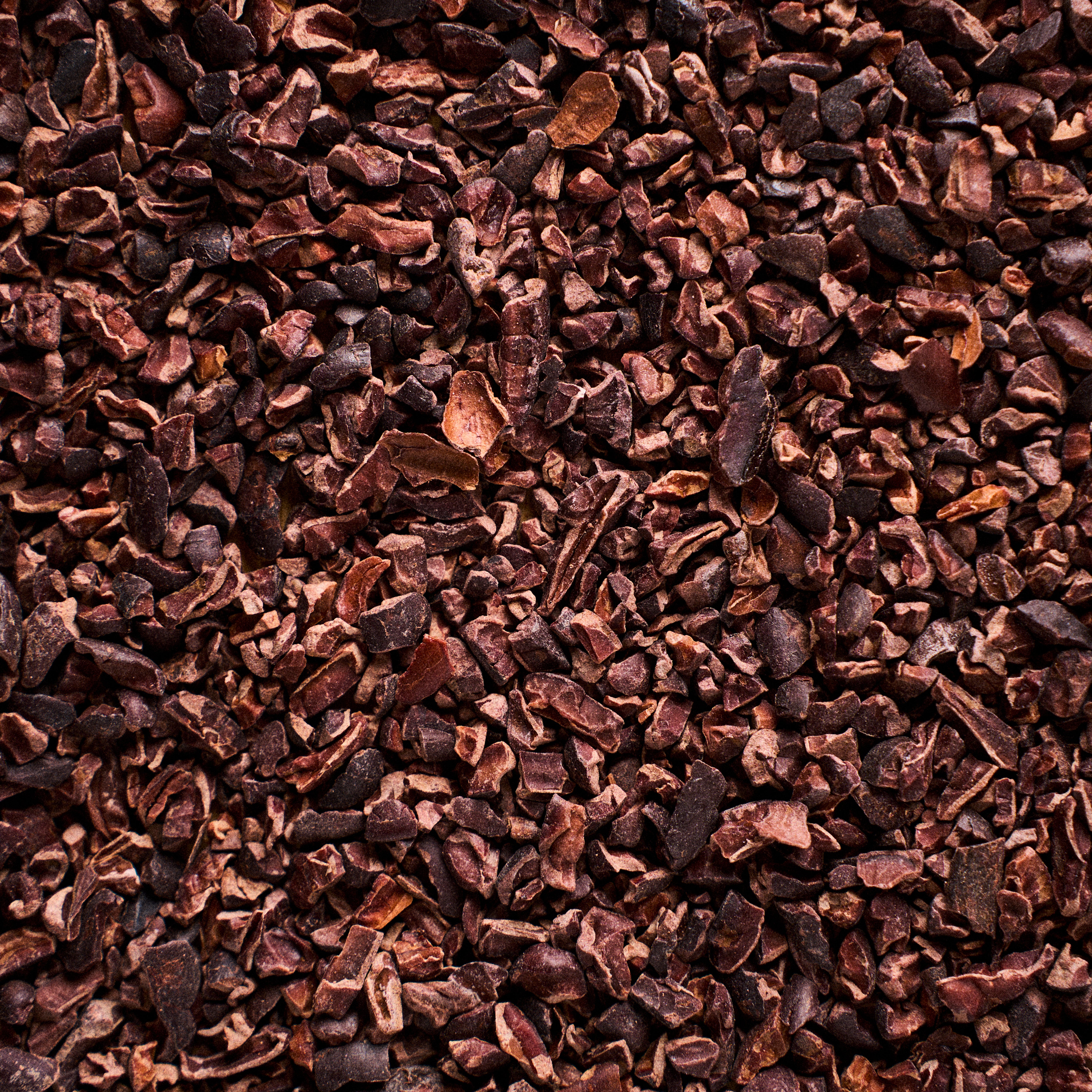 Nibs de Cacau