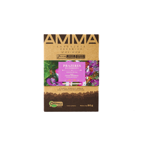 Chocolate Orgânico 50% Castanha De Caju 80g